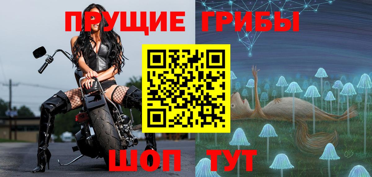 Галлюциногенные грибы мицелий  Псилоцибиновые грибы Psilocybe  Вход с VPN  Кисловодск 